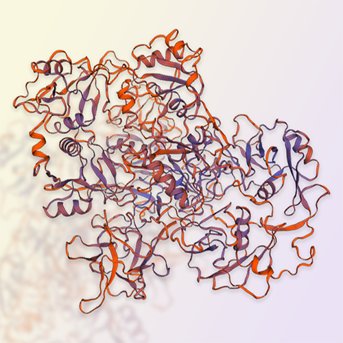 CD206蛋白,CD206