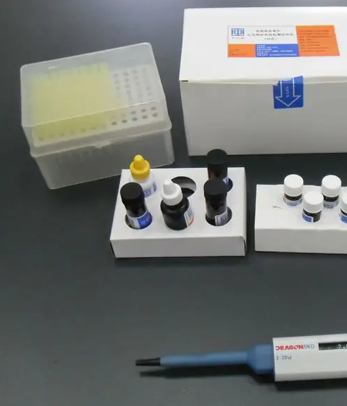 小鼠Ⅲ型胶原蛋白(Col-Ⅲ)ELISA试剂盒