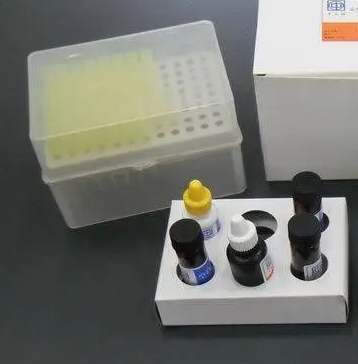 小鼠犬尿氨酸氨基转移酶(KAT)ELISA试剂盒