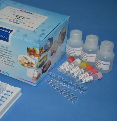 小鼠缓激肽(BK)ELISA试剂盒