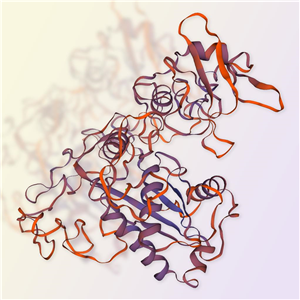 ADAM9重组蛋白，ACROBiosystems百普赛斯