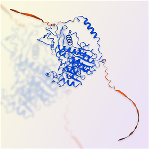 ALPG重组蛋白，ACROBiosystems百普赛斯
