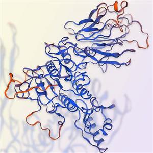 重组人PCSK9蛋白-ACROBiosystems百普赛斯