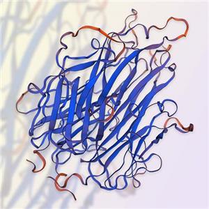 TL1A蛋白 ACROBiosystems百普赛斯