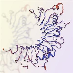 CD14重组蛋白-ACROBiosystems百普赛斯