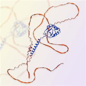 CD34蛋白-ACROBiosystems百普赛斯