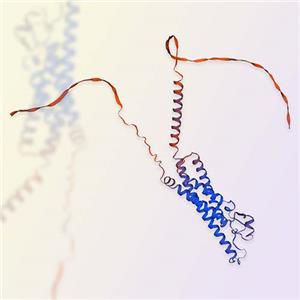 CD20重组蛋白，ACROBiosystems百普赛斯