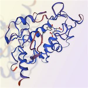 重组人FOLR1蛋白-ACROBiosystems百普赛斯