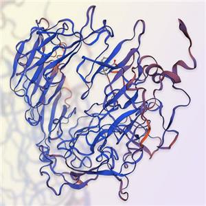 Sortilin/SORT1重组蛋白-ACROBiosystems百普赛斯