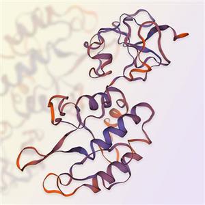 重组人ROR1蛋白-ACROBiosystems百普赛斯