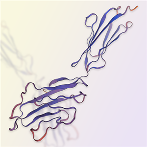 CD2重组蛋白-ACROBiosystems百普赛斯