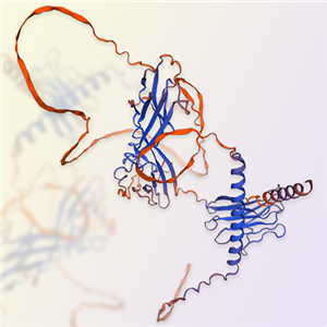 CD96蛋白-ACROBiosystems百普赛斯