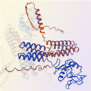 CD209重组蛋白-ACROBiosystems百普赛斯