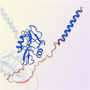 CLEC5A蛋白-ACROBiosystems百普賽斯