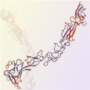 EphA10蛋白-ACROBiosystems百普赛斯