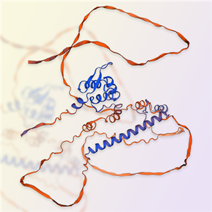 FoxP3蛋白-ACROBiosystems百普赛斯