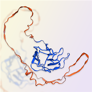 Galectin-3重组蛋白，ACROBiosystems百普赛斯