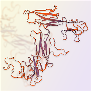 LAG3重组蛋白，ACROBiosystems百普赛斯