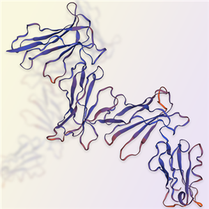 LILRA3/CD85e蛋白-ACROBiosystems百普赛斯