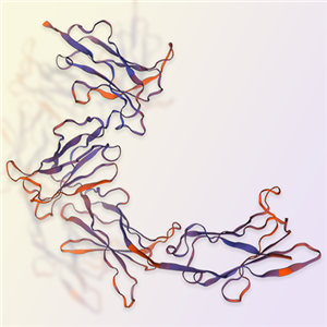 LILRA4重组蛋白，ACROBiosystems百普赛斯
