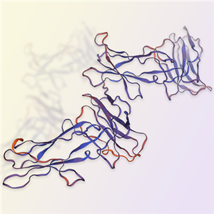 LILRA5/LILRB7蛋白-ACROBiosystems百普赛斯