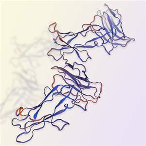 LILRA6蛋白-ACROBiosystems百普赛斯