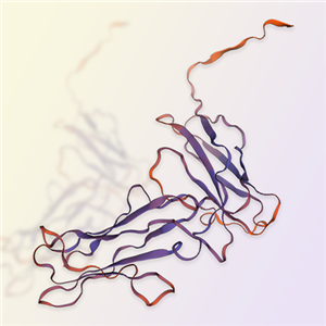 LILRB4重组蛋白，ACROBiosystems百普赛斯