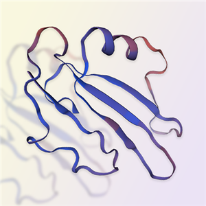 LYPD1重组蛋白-ACROBiosystems百普赛斯