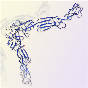 Nectin-1重组蛋白-ACROBiosystems百普赛斯