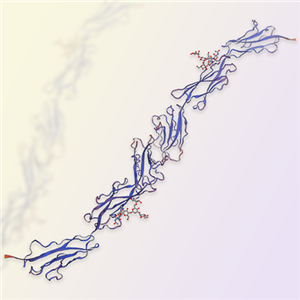 Nectin-3重组蛋白-ACROBiosystems百普赛斯