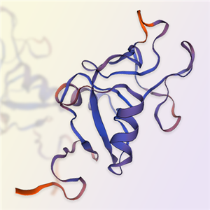 NKG2A重组蛋白-ACROBiosystems百普赛斯