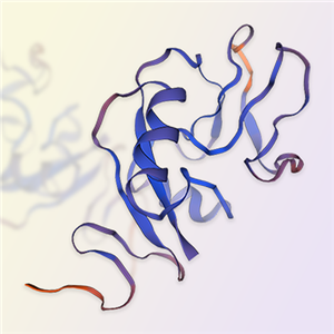 NKG2C重组蛋白-ACROBiosystems百普赛斯