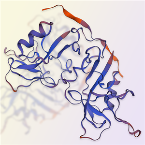 NKG2D重组蛋白，ACROBiosystems百普赛斯