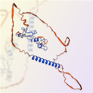 TACI重组蛋白，ACROBiosystems百普赛斯