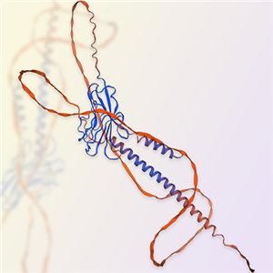 TIM-4蛋白-ACROBiosystems百普赛斯