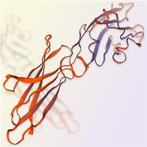 VSIG2蛋白-ACROBiosystems百普赛斯