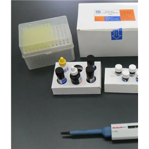 小鼠Ⅲ型胶原蛋白(Col-Ⅲ)ELISA试剂盒