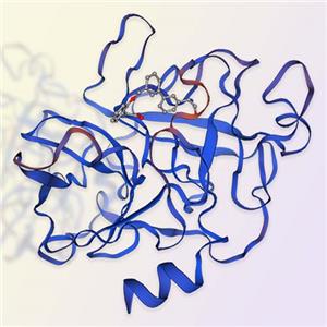 补体因子D（Complement factor D）-ACROBiosystems百普赛斯