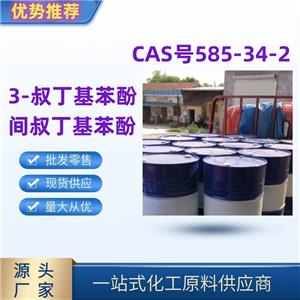 3-叔丁基苯酚 精选货源直发 国标优级品585-34-2一桶起发