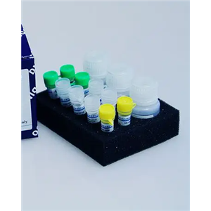 大鼠白细胞介素6受体(IL-6R)ELISA试剂盒