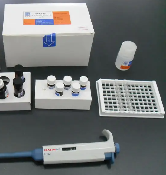 小鼠腺苷酸活化蛋白激酶α(AMPKα)ELISA试剂盒