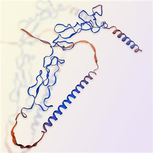 重组人4-1BB靶点蛋白 ACRO百普赛斯