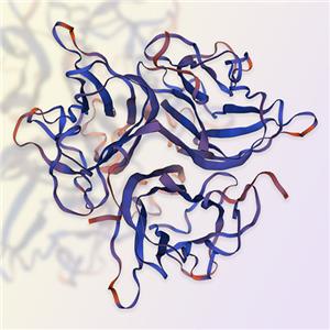 CD40L重组蛋白，ACROBiosystems百普赛斯