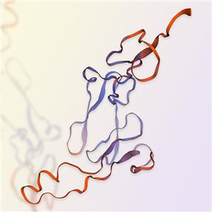 GITR重组蛋白-ACROBiosystems百普赛斯