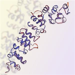 间皮素（Mesothelin） ACROBiosystems百普赛斯