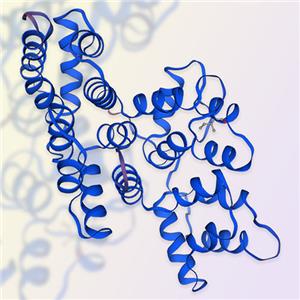 Annexin A5重组蛋白，ACROBiosystems百普赛斯