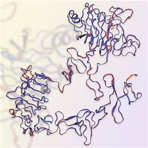 ErbB4重组蛋白-ACROBiosystems百普赛斯