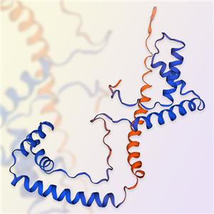 HMGB1重組蛋白，ACROBiosystems百普賽斯