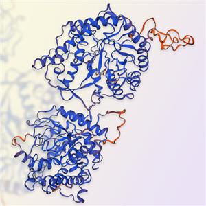 Klotho β重组蛋白，ACROBiosystems百普赛斯