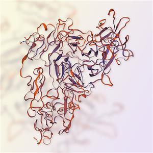 LDL R重组蛋白，ACROBiosystems百普赛斯